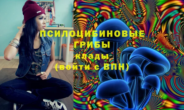 винт Кулебаки