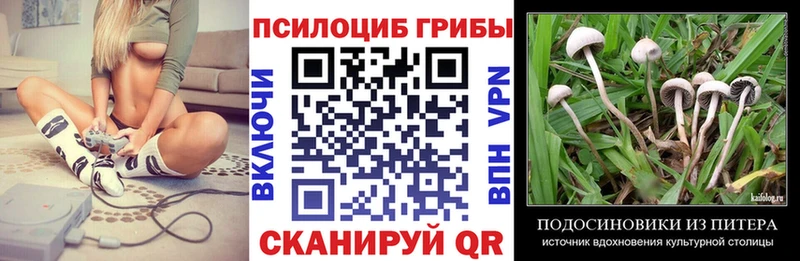 Купить  Наволоки  Галлюциногенные грибы мухоморы 